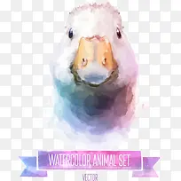 矢量彩绘鸭子-空若网 矢量彩绘鸭子-空若网