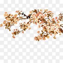 花枝-空若网 花枝-空若网