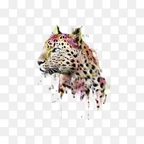 水彩手绘猎豹-空若网 水彩手绘猎豹-空若网