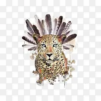 羽毛与猎豹-空若网 羽毛与猎豹-空若网