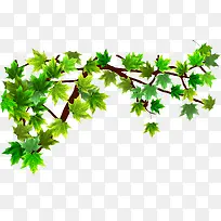 ʸÁ¿Ê÷֦װÊÎͼ°¸-¿ÕÈôÍø ʸÁ¿Ê÷֦װÊÎͼ°¸-¿ÕÈôÍø