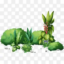 绿色草丛-空若网 绿色草丛-空若网