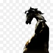 动物专辑-空若网 动物专辑-空若网