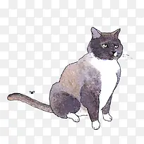 ʸ��ˮ��è��-������