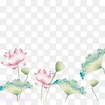 水彩荷花-空若网 水彩荷花-空若网