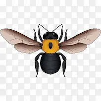 �ƺ�����۷�ʸ���ز�-������