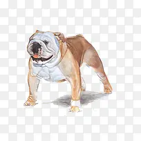 ÊÖ»æ¶ñ°ÔÈ®-¿ÕÈôÍø ÊÖ»æ¶ñ°ÔÈ®-¿ÕÈôÍø