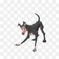 ʸ����ɫ�Ķ�Ȯ-������