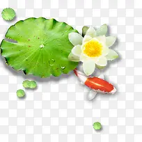 ��ɫ��˯��-������