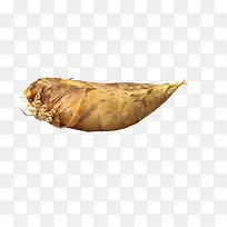 冬笋-空若网 冬笋-空若网