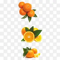 橙色橘子-空若网 橙色橘子-空若网