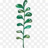 绿色春季数次小草-空若网 绿色春季数次小草-空若网