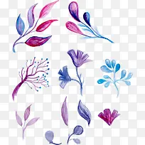 手绘植物树叶-空若网 手绘植物树叶-空若网