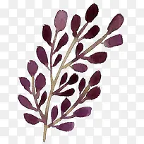 手绘树枝-空若网 手绘树枝-空若网