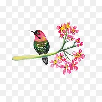 水彩花鸟图案元素-空若网 水彩花鸟图案元素-空若网