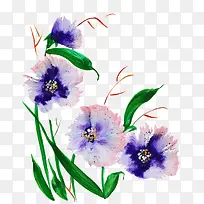 卡通手绘紫色水仙花-空若网 卡通手绘紫色水仙花-空若网