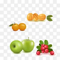 4种新鲜逼真水果矢量图-空若网 4种新鲜逼真水果矢量图-空若网