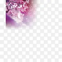 ÷»¨±³¾°-¿ÕÈôÍø ÷»¨±³¾°-¿ÕÈôÍø