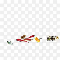 蔬菜-空若网 蔬菜-空若网