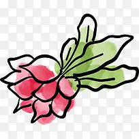 手绘蔬菜元素-空若网 手绘蔬菜元素-空若网