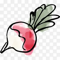 手绘蔬菜元素-空若网 手绘蔬菜元素-空若网