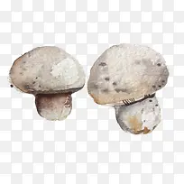 手绘写实蔬菜-空若网 手绘写实蔬菜-空若网