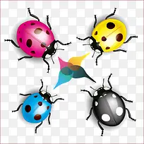 彩色逼真瓢虫矢量图-空若网 彩色逼真瓢虫矢量图-空若网