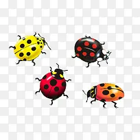 ��ɫ������ư��-������