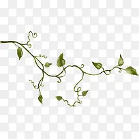 植物枝蔓-空若网 植物枝蔓-空若网