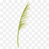 ��֪��ˮ�ʲ�ֲ��-������