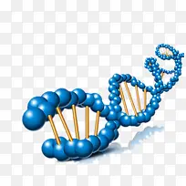 蓝色基因链条-空若网 蓝色基因链条-空若网