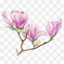 �ֻ���ɫ������-������