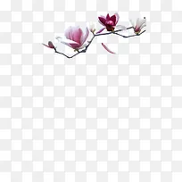 ��ɫ������-������