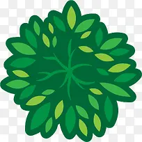 洋槐树平面-空若网 洋槐树平面-空若网