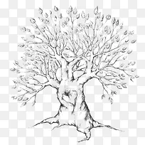 指纹树矢量-空若网 指纹树矢量-空若网