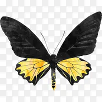 ºûµû-¿ÕÈôÍø ºûµû-¿ÕÈôÍø