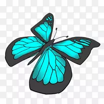燕尾蝴蝶尤利西斯绘画剪辑艺术-蓝色蝴蝶-空若网 燕尾蝴蝶尤利西斯绘画剪辑艺术-蓝色蝴蝶-空若网