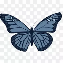 �ǻ�����ܰ���t����������ܰ���������-������