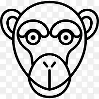 猴子图标-空若网 猴子图标-空若网