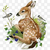 矢量小鹿-空若网 矢量小鹿-空若网