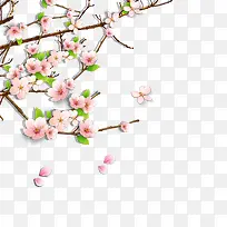 梅花树枝花朵-空若网 梅花树枝花朵-空若网