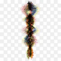 ���������ɫʸ��-������