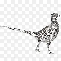 �ֻ涯��-������