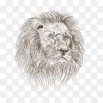 �ֻ涯��-������