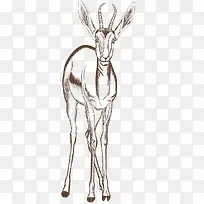 �ֻ涯��-������