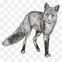 �ֻ涯��-������