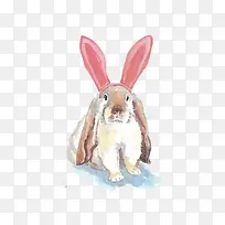 ��ͨ�ɰ�����-������