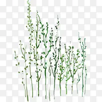 绿色叶子水印插画-空若网 绿色叶子水印插画-空若网