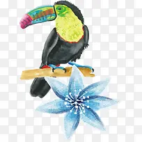 黑色水彩大嘴鸟-空若网 黑色水彩大嘴鸟-空若网