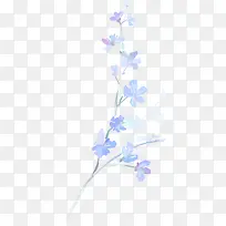 ��ɫ��֦-������